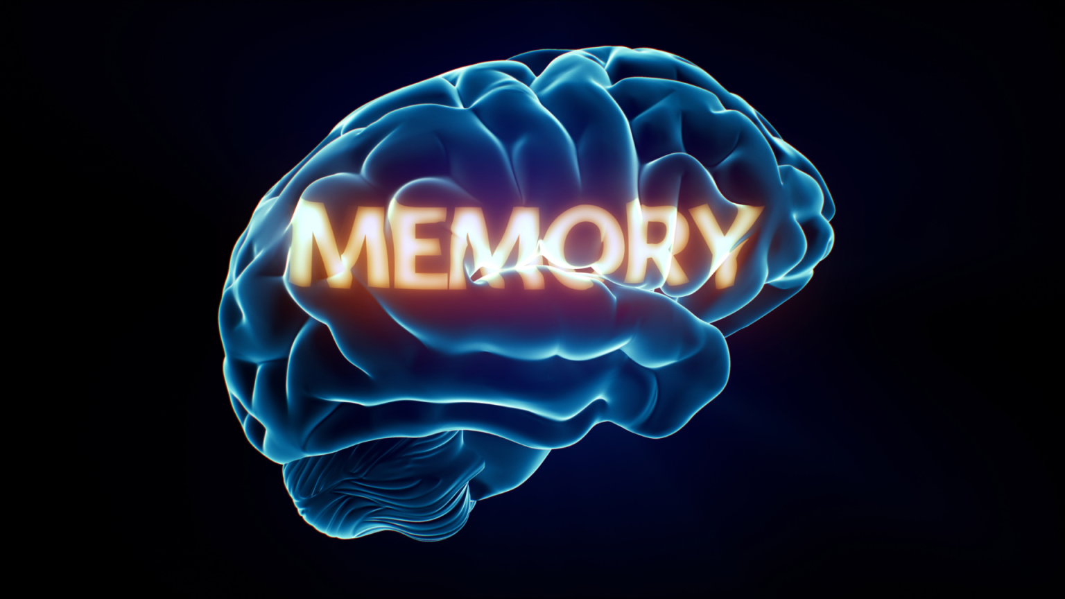 Cognitive Secrets: The Science Behind Memory